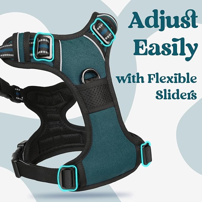 rabbitgoo Dog Harness Small Sized, No Pull Pet Harness with 3 Buckles, Adjustable Soft Padded Dog Vest with Instant Control Handle, Easy Walking Reflective Pet Vest for Small Dogs, Blue Coral, S