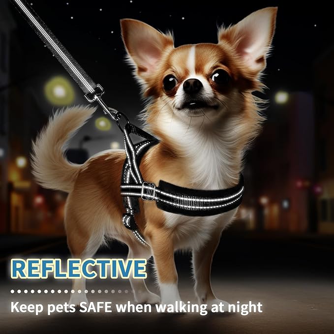 SlowTon No Pull Small Dog Harness and Leash Set, Puppy Soft Vest Harness Neck & Chest Adjustable, Reflective Lightweight Harness & Anti-Twist Pet Lead Combo for Small Medium Dogs(B,L)