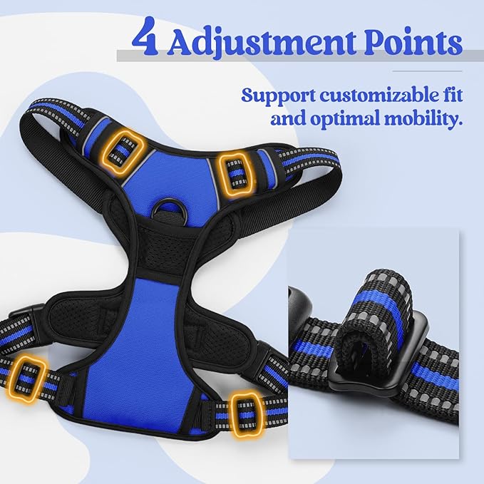 rabbitgoo Dog Harness, No-Pull Pet Harness with 2 Leash Clips, Adjustable Soft Padded Dog Vest, Reflective No-Choke Pet Oxford Vest with Easy Control Handle for Small Dogs, Dazzling Blue, S