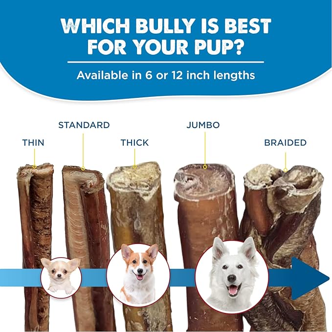 Best Bully Sticks All Natural 12 Inch Thick Bully Sticks for Large Dogs - 100% Free-Range Grass-Fed Beef - Single-Ingredient Grain & Rawhide Free Dog Chews - 10 Pack