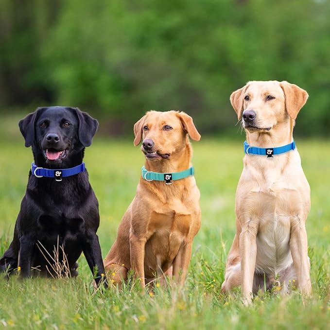 azuza 3 Pack Dog Collars Comfortable and Adjustable Nylon Dog Collars for Medium Dogs, M (14-20inch)，Green, Blue and Royal Blue