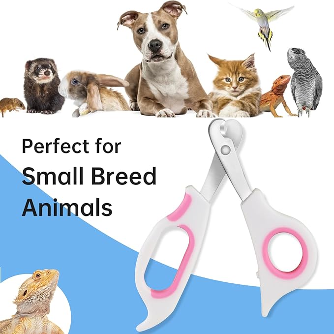 Bearded Dragon Nail Clippers,Stainless Steel Bearded Dragon Toe Nail Clippers with Precise Angled Edges (Pinky White)