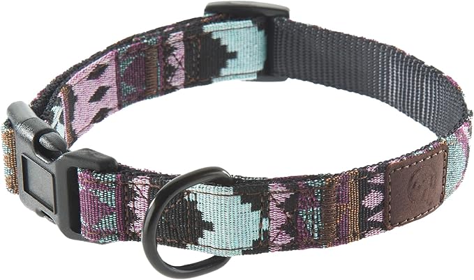 Embark Urban Dog Collar – Dog Collar Stylish & Durable Nylon Dog Collar for Large Dogs, Small Dogs & Medium Dogs.Comfortable Pet Collar Strong Buckles for Any Size Breed (Aztec, Small)