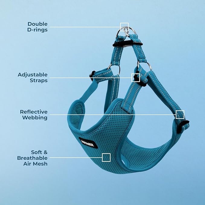 Best Pet Supplies Voyager Adjustable Dog Vest Harness Breathable No Pull Harness for Small, Medium, Large Dogs, Harness for Walking, Jogging, Easy Step-in, Reflective Stripes - (Turquoise), L