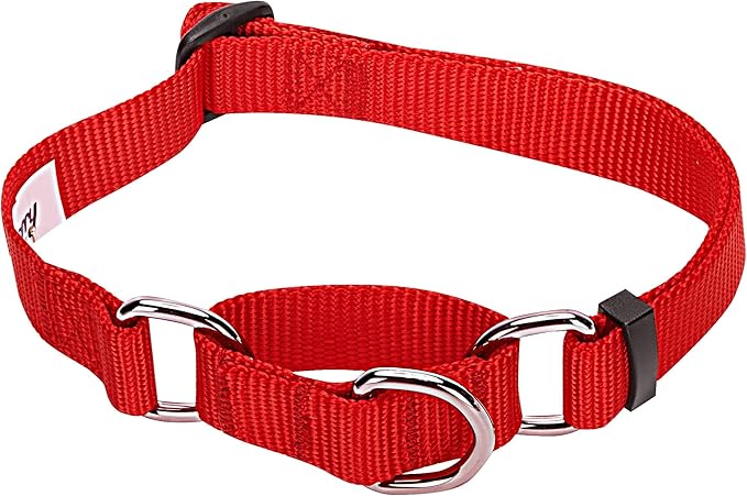 Blueberry Pet Essentials Martingale Safety Training Dog Collar, Rouge Red, Small, Heavy Duty Nylon Adjustable Collars for Dogs