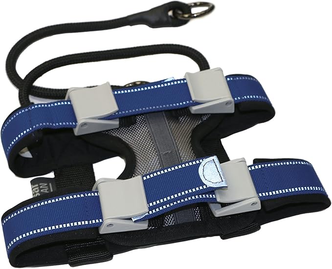 Cesar Millan Pack Leader Collar™ - Training Collar of The Dog Whisperer (Small, Blue)