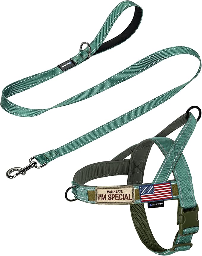 Annchwool No Pull Dog Harness with Padded Handle+5 Ft Leash,Reflective Strip Escape Proof and Quick Fit to Adjust Dog Harness,Easy for Training Walking for Small & Medium and Large Dog(Green-Set,XL)