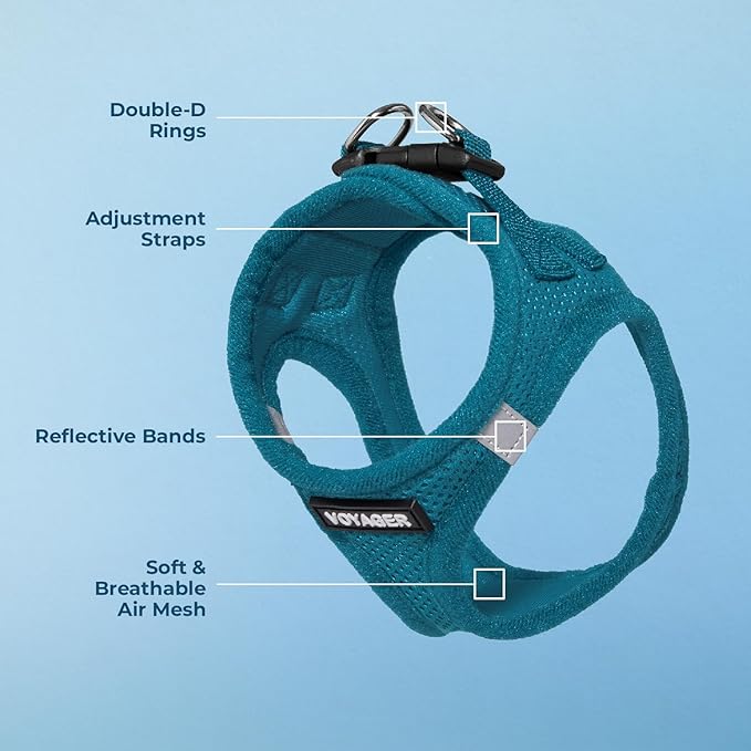 Voyager Step-in Air Dog Harness - All Weather Mesh, Reflective, No Pull Harness for Small, Medium Dogs, Cats - Secure with Hook & Loop Fastener, Buckle, Double D-Rings - Turquoise, L