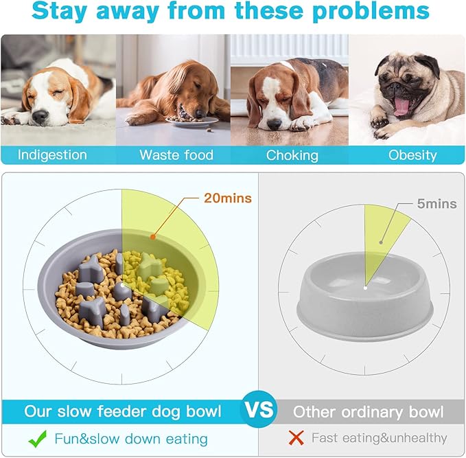 Dog Bowls Double Dog Water and Food Bowls Stainless Steel Bowls with Non-Slip Resin Station, Pet Feeder Bowls for Puppy Medium Dogs Cats