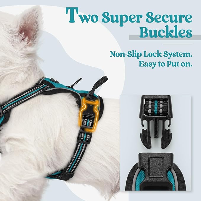 rabbitgoo Dog Harness, No-Pull Pet Harness with 2 Leash Clips, Adjustable Soft Padded Dog Vest, Reflective No-Choke Pet Oxford Vest with Easy Control Handle for Large Dogs, Teal, X-Small