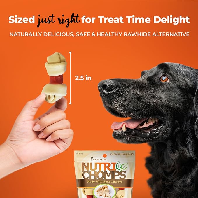 NutriChomps Dog Chews, 2.5-inch Knots, Easy to Digest, Long Lasting, Rawhide-Free Dog Treats, 8 Count, Real Chicken flavor