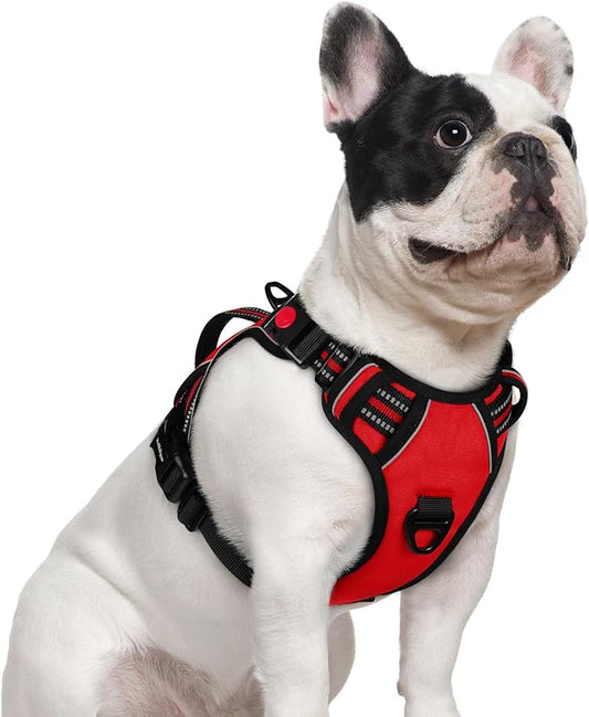rabbitgoo Dog Harness Small Sized Dog, No Pull Pet Harness with Soft Padded Handle, Adjustable Reflective Vest with 3 Buckles, Easy Walking Harness with 2 Leash Clips, Red, S