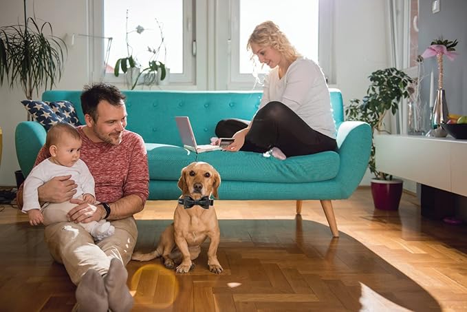 MACA Bates Dog Green Woolen Collar with Nylon- Warm and Soft Bows Dog Collar for Large Medium Small Dogs, Adjustable Dog Collar with Metal Buckle for Boy and Girl in Winter, XS Puppy Collar