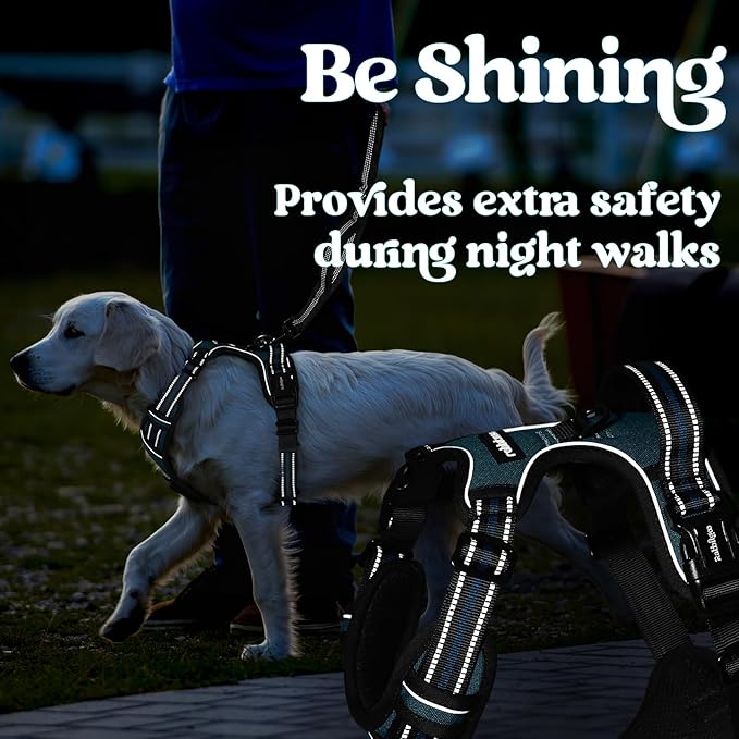 rabbitgoo Dog Harness Small Sized, No Pull Pet Harness with 3 Buckles, Adjustable Soft Padded Dog Vest with Instant Control Handle, Easy Walking Reflective Pet Vest for Small Dogs, Blue Coral, S