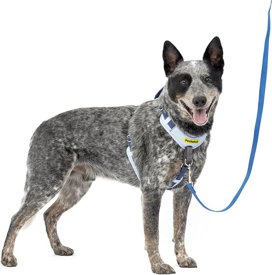 PetSafe Easy Walk Comfort No-Pull Dog Harness Full-Body Padding - Better Walks on The First Use - 5 Points of Adjustment Large, Blue