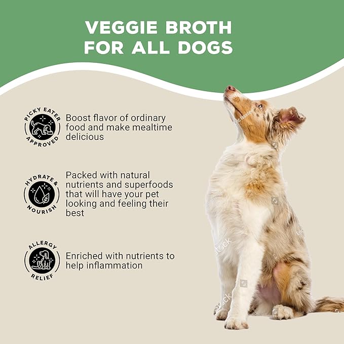 Brutus Broth Instant On The Go Vegetable Powder for Dogs - Vegetable Powder with Omegas 3, 6 & 9 & Turmeric - Human Grade Dog Food Toppers for Dry Food & Picky Eaters - 10 Stick (Salmon Flavor)