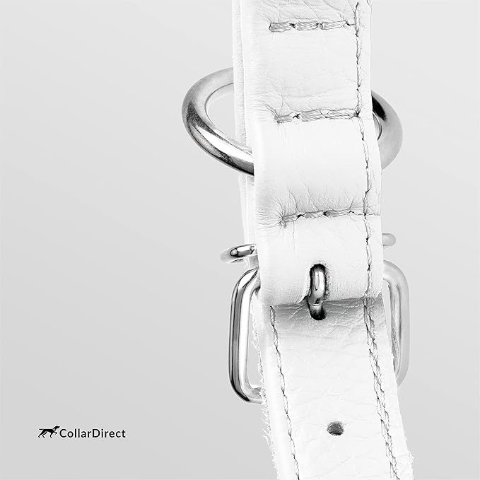 CollarDirect Rolled Leather Dog Collar, Soft Padded Round Puppy Collar, Handmade Genuine Leather Collar Dog Small Large Cat Collars 13 Colors (20-23 Inch, White Textured)