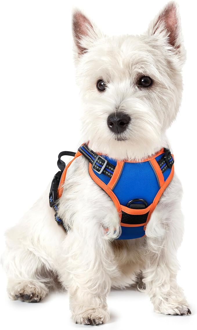 rabbitgoo Dog Harness, No-Pull Pet Harness with 2 Leash Clips, Adjustable Soft Padded Dog Vest, Reflective No-Choke Pet Oxford Vest with Easy Control Handle for Large Dogs, Blue & Orange, XS
