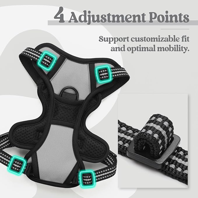 rabbitgoo Dog Harness, No-Pull Pet Harness with 2 Leash Clips, Adjustable Soft Padded Dog Vest, Reflective No-Choke Pet Oxford Vest with Easy Control Handle for Small Dogs, Grey, XS