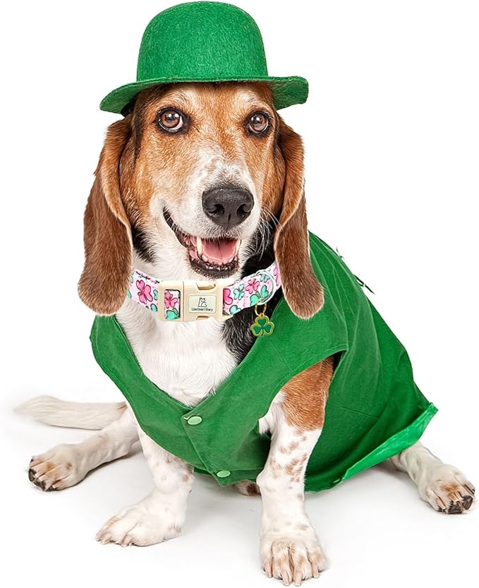 Lionheart glory St. Patrick's Day Dog Collar, Clover Collars Pink Dog Collar for Small Dogs Spring Female Dog Collar Adjustable Heavy-Duty Dog Collar Pet Gift Plastic Buckle