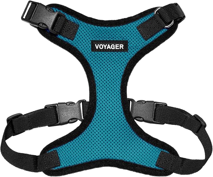 Voyager Step-in Lock Pet Harness - All Weather Mesh, Adjustable Step in Harness for Cats and Dogs by Best Pet Supplies - Turquoise/Black Trim, S
