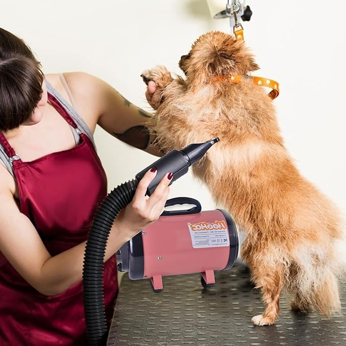 Dog Dryer, High Velocity Dog Hair Dryer, Dog Blow Dryer - Groomer Partner Pet Blower Grooming Force Dryer with Heater, Stepless Adjustable Speed, 4 Different Nozzles, Comb & Pet Grooming Glove (Pink)