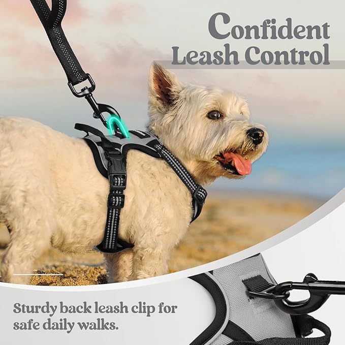 rabbitgoo Dog Harness, No-Pull Pet Harness with 2 Leash Clips, Adjustable Soft Padded Dog Vest, Reflective No-Choke Pet Oxford Vest with Easy Control Handle for Small Dogs, Grey, XS