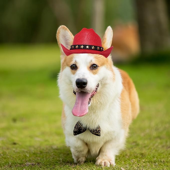 choyaxo Pet Cowboy Costume Cosplay Cap Halloween Costumes for Dogs Cat Pet Party Decoration Mini Cowboy Hat (Red, Small)