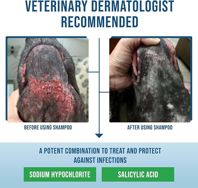 Command Medicated Dog Shampoo for Itchy Skin, Anti-Itch Relief for Allergies and Dry Skin, Healing Soothing Pet Care Formula (4 oz)