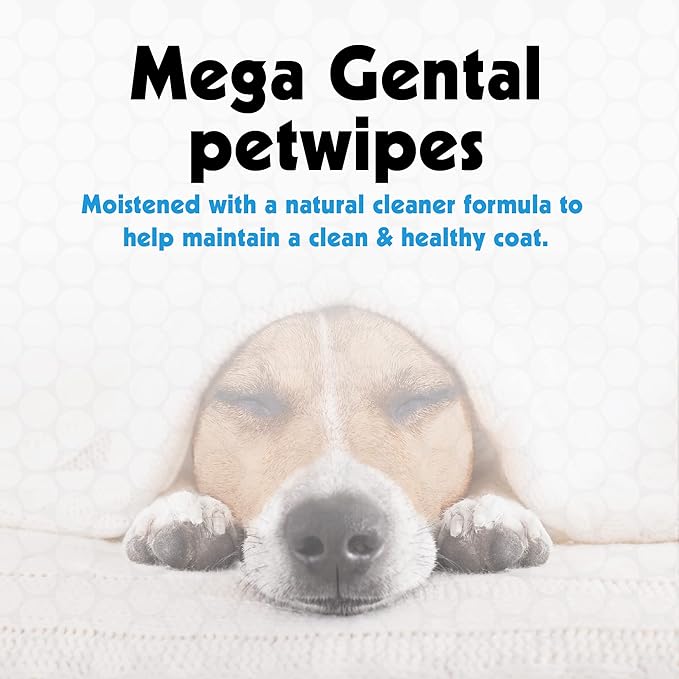 Petkin Mega PetWipes, 200 Wipes - Pet Wipes for Dogs and Cats - For Face, Paws, Ears, Body and Eye Area - Super Convenient Dog Cleaning Wipes, Ideal for Home or Travel - Easy to Use