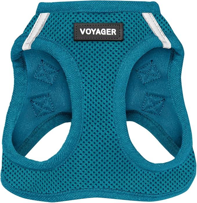 Voyager Step-in Air Dog Harness - All Weather Mesh, Reflective, No Pull Harness for Small, Medium Dogs, Cats - Secure with Hook & Loop Fastener, Buckle, Double D-Rings - Turquoise, S