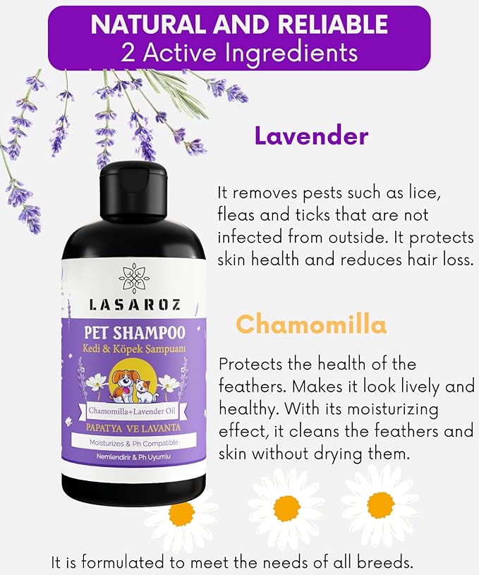Shampoo for Pet Dog Cat | Anti-Hair Loss Lavender and Daisy Flavored Pet Shampoo