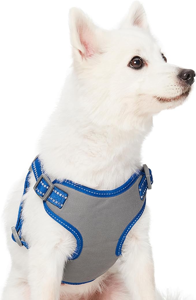 Blueberry Pet Essentials Pastel Color Reflective Dog Harness Vest, Chest Girth 29" - 38.5", Navy, Large, Adjustable Harnesses for Dogs