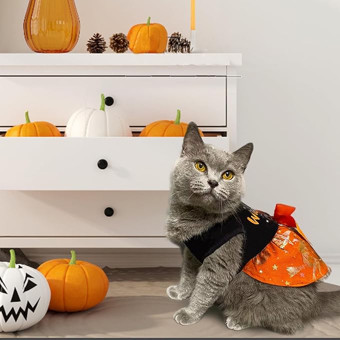 Dog Halloween Costumes Dog Dresses, Halloween Costumes for Dogs Funny Puppy Dress with Bow for Small Large Dogs, Pumpkin Witch Bat Pet Costume Halloween Christmas (Medium, Wickedly Cute)