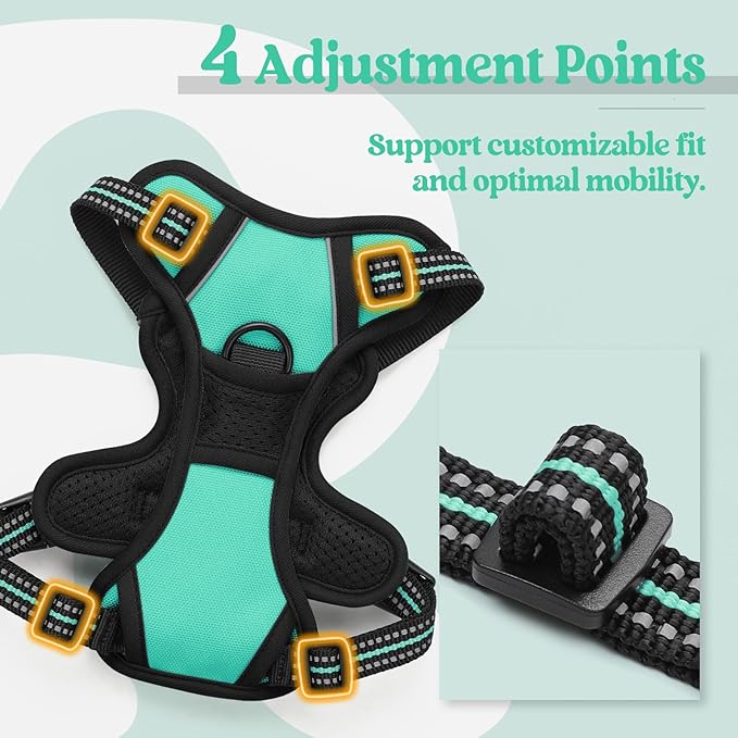 rabbitgoo Dog Harness, No-Pull Pet Harness with 2 Leash Clips, Adjustable Soft Padded Dog Vest, Reflective No-Choke Pet Oxford Vest with Easy Control Handle for Small Dogs, Turquoise, XS