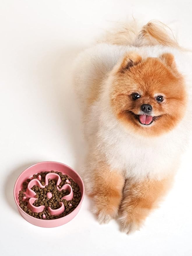 LE TAUCI Ceramic Slow Feeder Dog Bowls Small Breed, 0.6 Cups Dog Food Dish for Fast Eaters, Puzzle Bowl for Small Dogs and Cats,Pink