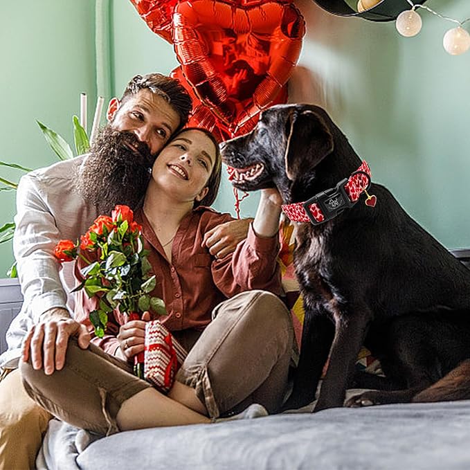 Elegant little tail Valentine's Day Dog Collar-Cute Red Heart Dog Collar for Medium Dogs, Female or Male Adjustable Cotton Pet Collar with Quick Release Buckle for Small Medium Large Dogs