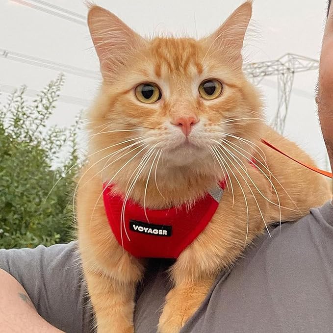 Voyager Step-in Air Dog Harness - All Weather Mesh, Reflective, No Pull Harness for Small, Medium Dogs, Cats - Secure with Hook & Loop Fastener, Buckle, Double D-Rings - Red, S