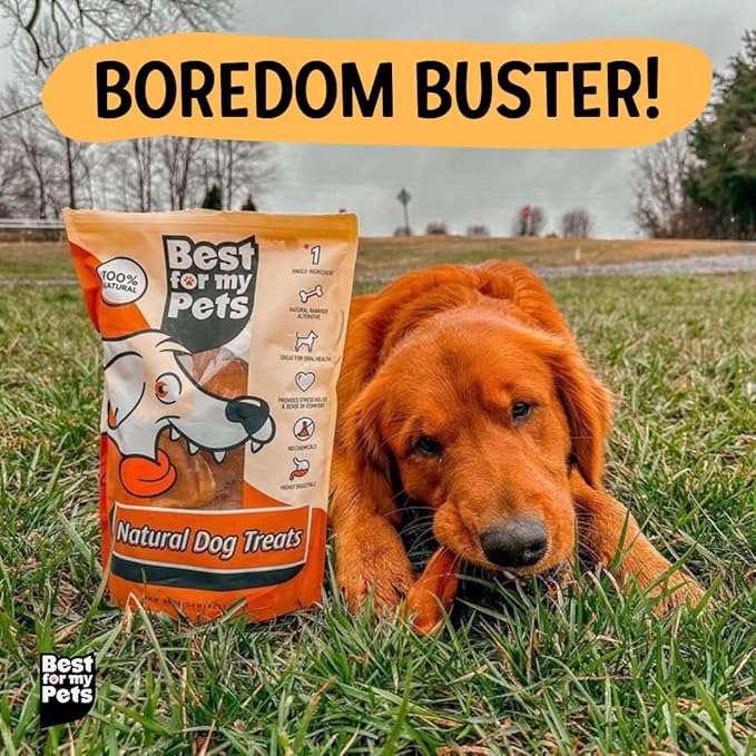 Best For My Pets Odor Free Bully Sticks, Long-Lasting Chews to Keep Puppies and Dogs Happily Busy, All-Natural Fully Digestible, 6-Inch Long, 8-Ounce Bag