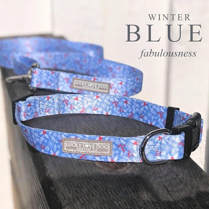 Lucky Love Dog Winter Themed Martingale Collar and Leash Set, Premium No Slip Collar and Leash Set, Snowflake Christmas Martingale Collar for Medium Dogs - (Winterblue No Slip, M - Combo)