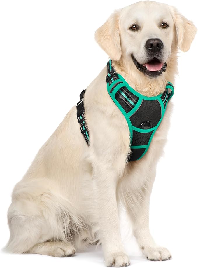 rabbitgoo Dog Harness, No-Pull Pet Harness with 2 Leash Clips, Adjustable Soft Padded Dog Vest, Reflective No-Choke Pet Oxford Vest with Easy Control Handle for Large Dogs, Black & Turquoise, XL