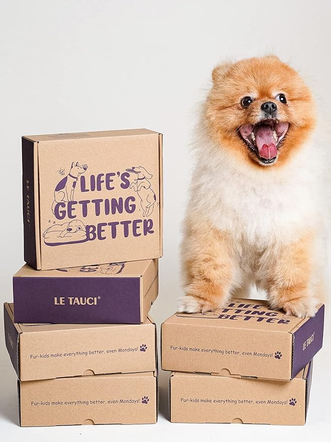 LE TAUCI Ceramic Slow Feeder Dog Bowls Small Breed, 0.6 Cups Dog Food Dish for Fast Eaters, Puzzle Bowl for Small Dogs and Cats,Pink