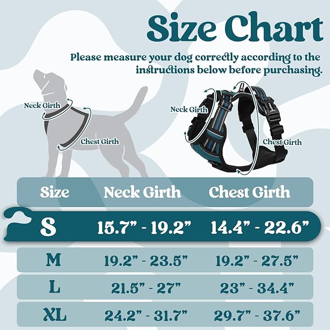 rabbitgoo Dog Harness Small Sized, No Pull Pet Harness with 3 Buckles, Adjustable Soft Padded Dog Vest with Instant Control Handle, Easy Walking Reflective Pet Vest for Small Dogs, Blue Coral, S