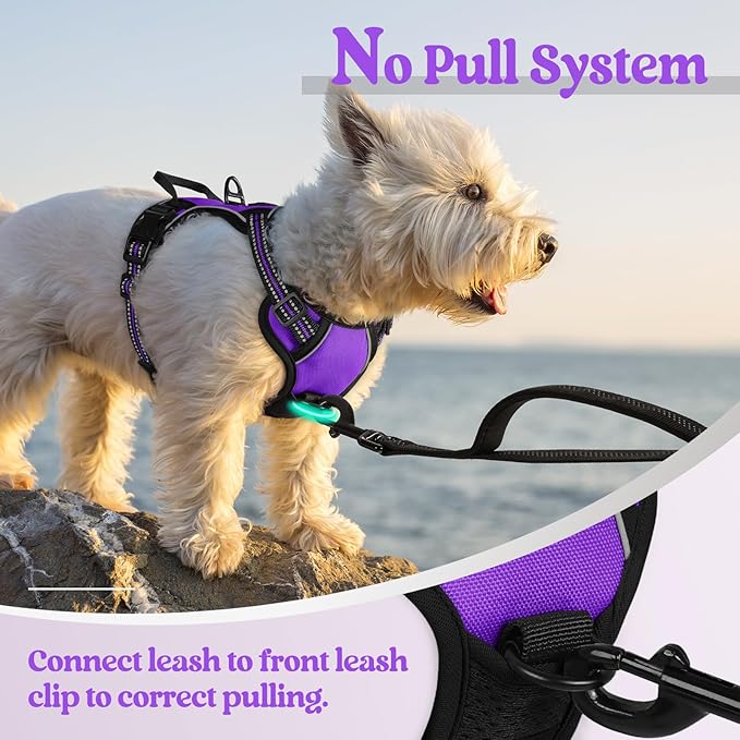 rabbitgoo Dog Harness, No-Pull Pet Harness with 2 Leash Clips, Adjustable Soft Padded Dog Vest, Reflective No-Choke Pet Oxford Vest with Easy Control Handle for Small Dogs, Purple,XS