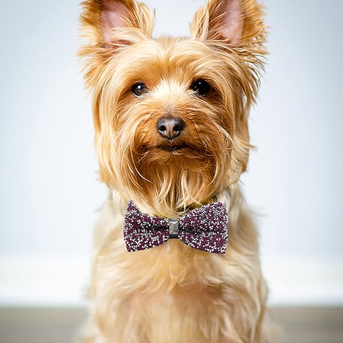 Crystal Pet Bowties, 10 PCS Adjustable Dog Collar Attachment Rhinestone Bling Bowties, Pet Collar Charms Accessories, Birthday Gift for Big Cat Puppy Small Medium Dogs(Small)