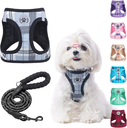 BEAUTYZOO Small Dog Harness and Leash Set,Step in No Chock No Pull Soft Mesh Dog Harnesses Reflective for Extra-Small/Small Medium Puppy Dogs and Cats, Plaid Dog Vest Harness for XS S Pets, Grey S
