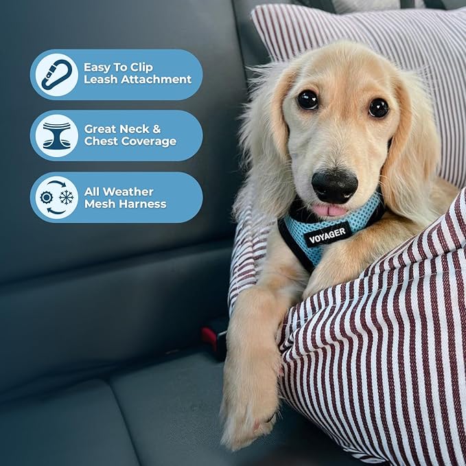 Voyager Step-in Air Dog Harness - All Weather Mesh, Reflective, No Pull Harness for Small, Medium Dogs, Cats - Secure with Hook & Loop Fastener, Buckle, Double D-Rings - Baby Blue/Black Trim, XL