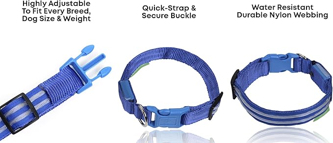 ILLUMISEEN LED Dog Collar USB Rechargeable - Bright & High Visibility Lighted Glow Collar for Pet Night Walking - Weatherproof, in 6 Colors & 6 Sizes (Blue Medium)