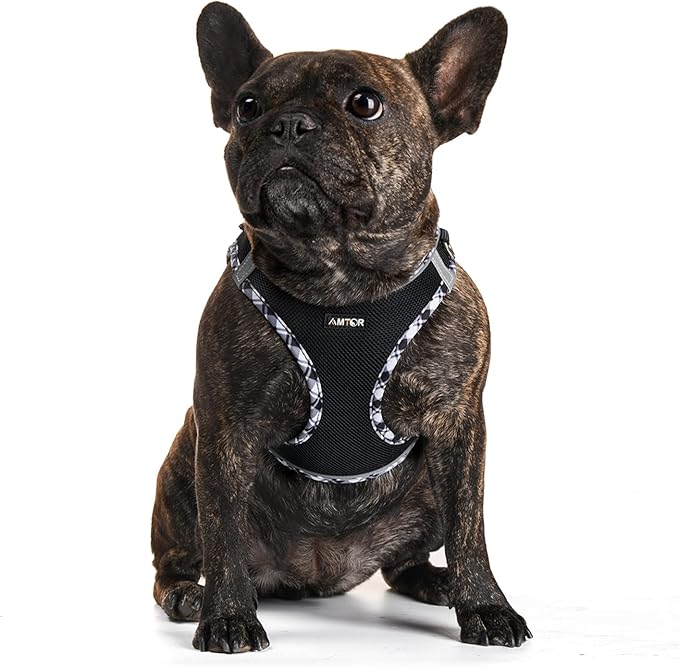AMTOR Dog Harness with Leash Set,No Pull Adjustable Reflective Step-in Puppy Harness with Padded Vest for Extra-Small/Small Medium Large Dogs and Cats(Blackwhite),XLarge(Chest:19.5''''-23''''