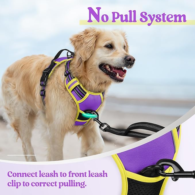 rabbitgoo Dog Harness, No-Pull Pet Harness with 2 Leash Clips, Adjustable Soft Padded Dog Vest, Reflective No-Choke Pet Oxford Vest with Easy Control Handle for Large Dogs, Purple & Yellow, M